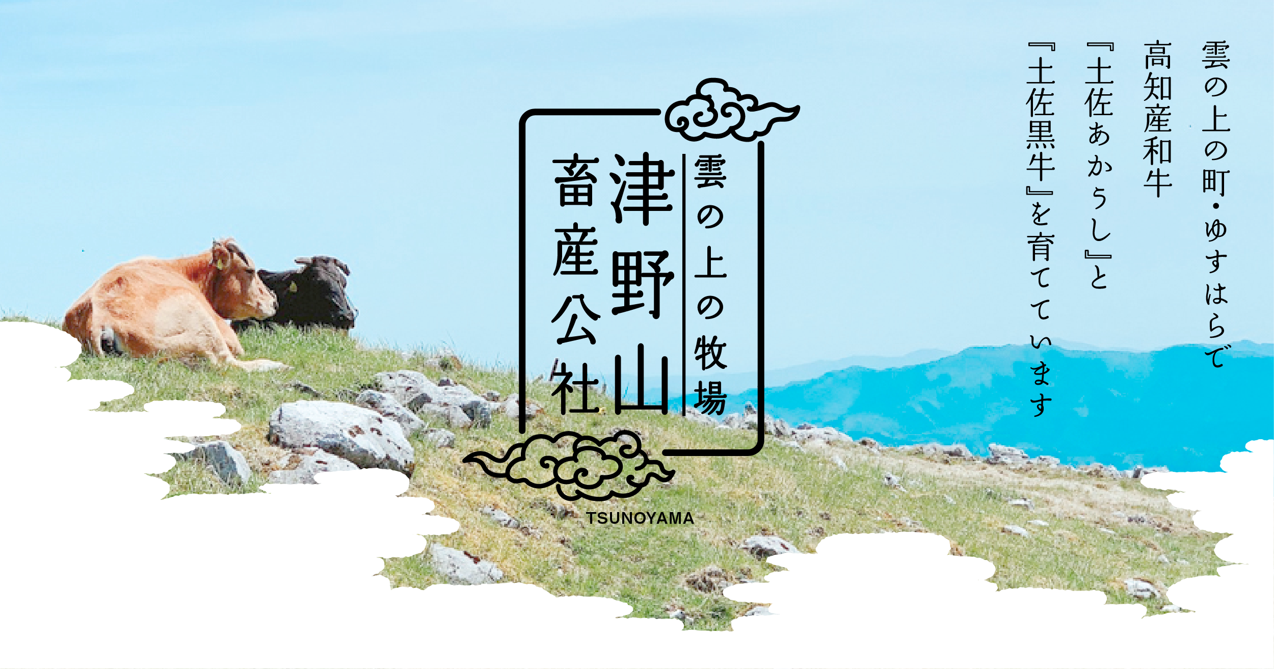 雲の上の牧場｜一般社団法人 津野山畜産公社